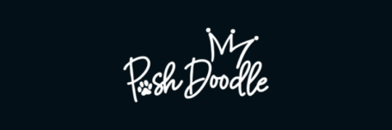 push doodle